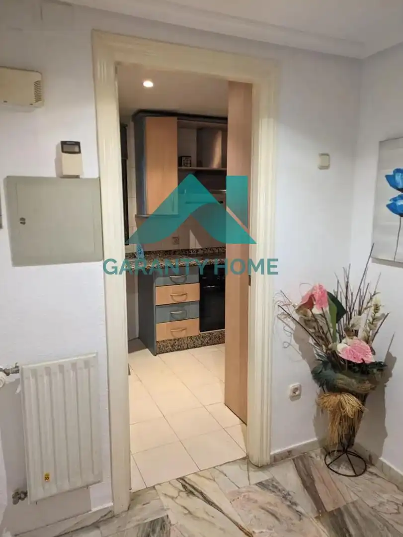 Apartments for rent in Centro