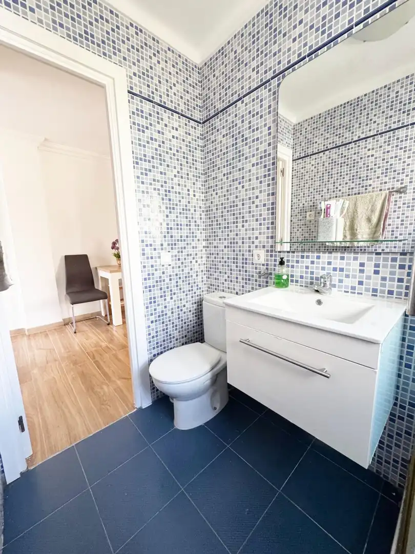 Flat with garden for sale in Avenida MANUEL ALTOLAGUIRRE, imagen 21