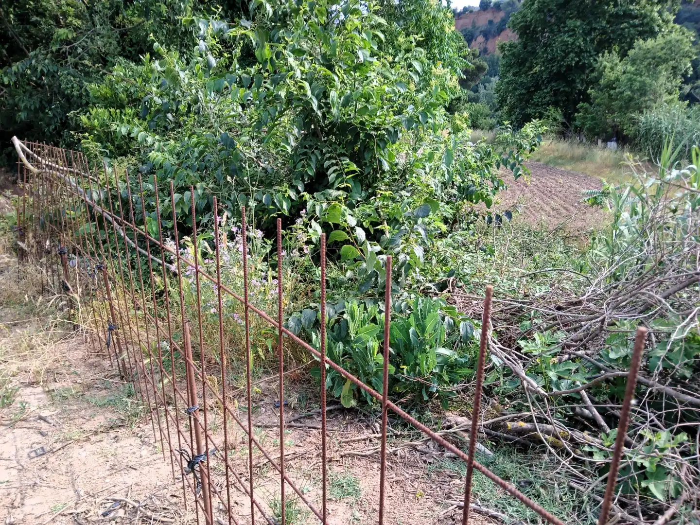 Terreno en venta en Castellar del Vallès