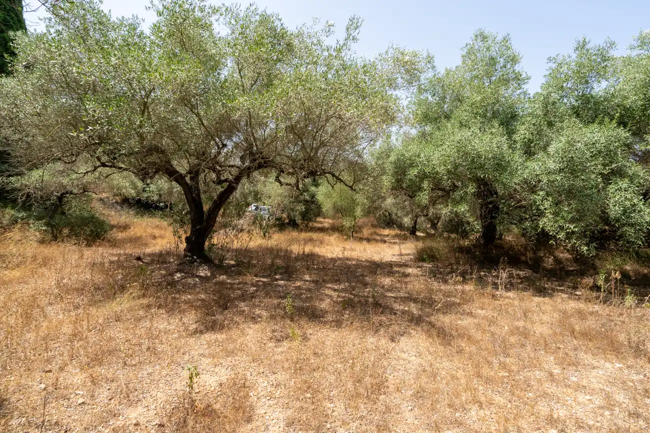 Terreno en venta en Masdenverge