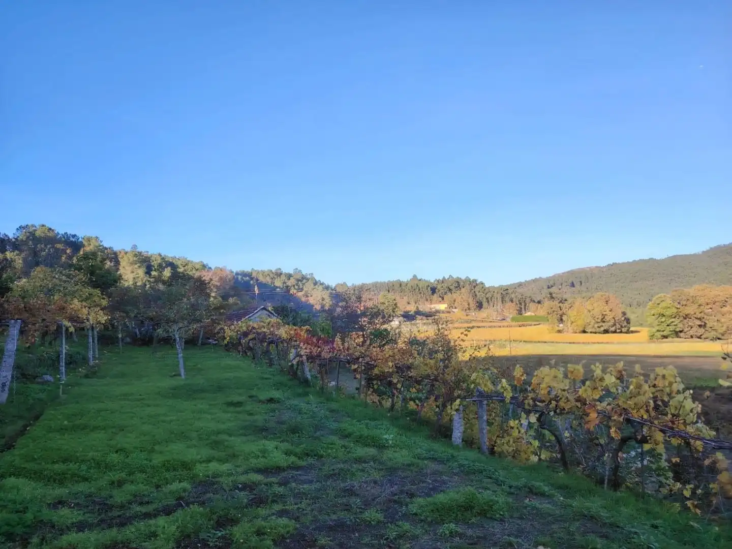 Casa o chalet en venta en Crecente