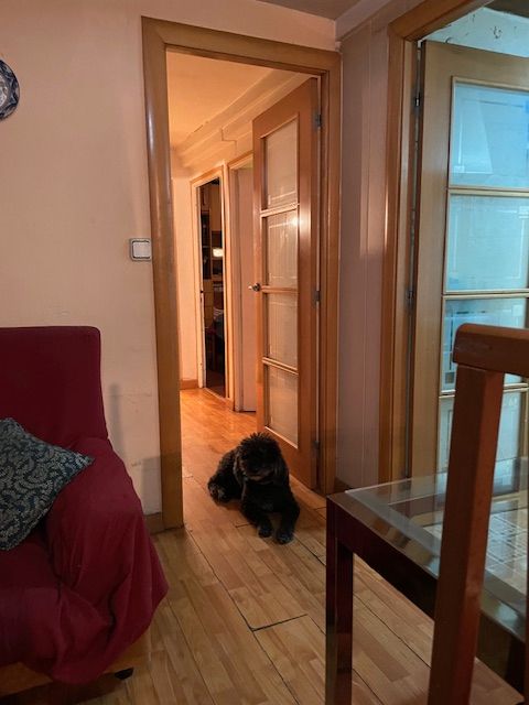 Flat for sale in Els Merinals