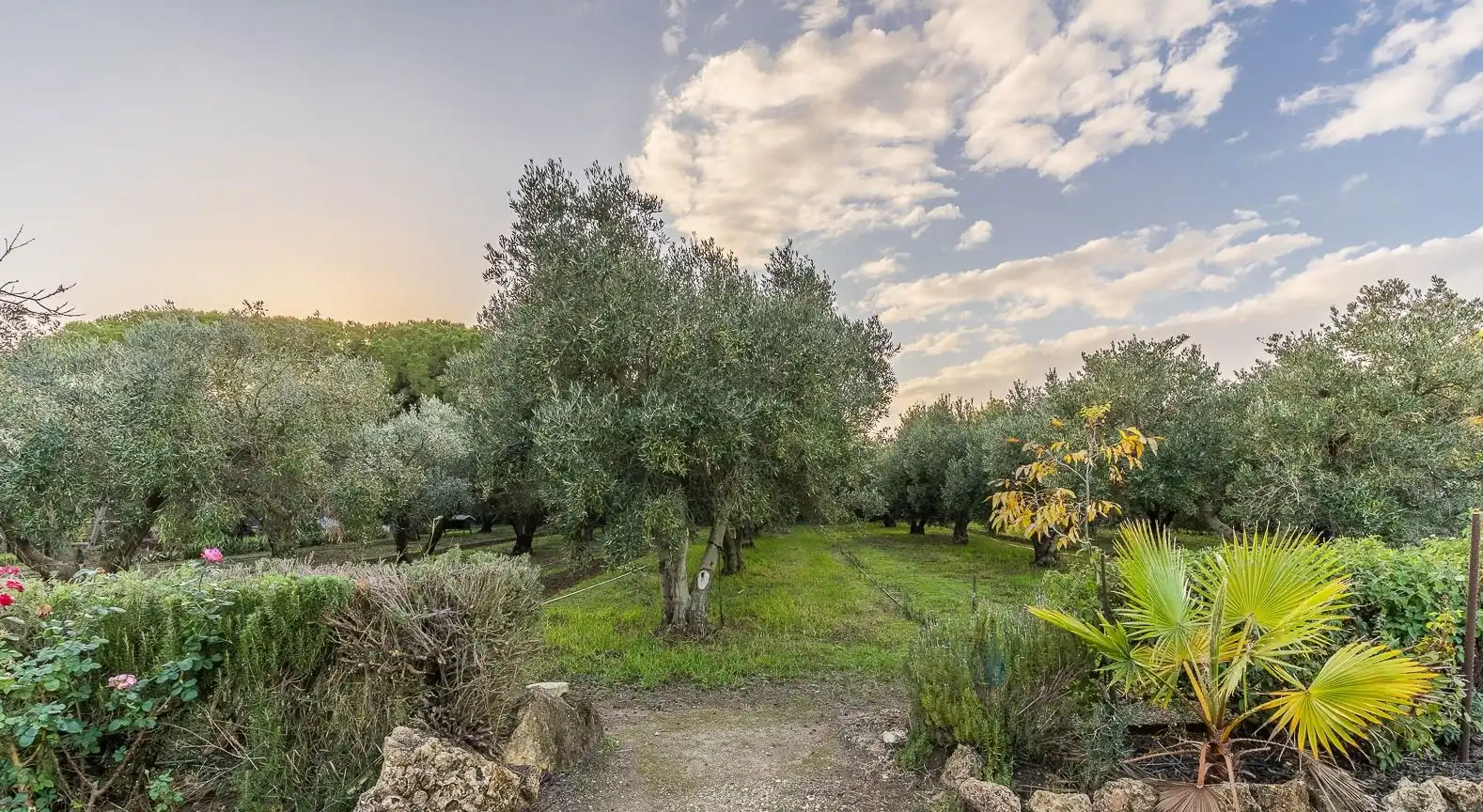 Houses for sale in Villanueva Golf