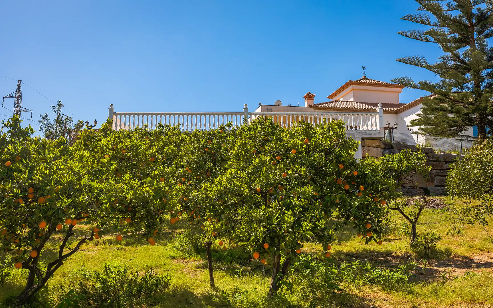 Casa con piscina en venta en Selwo, imagen 35