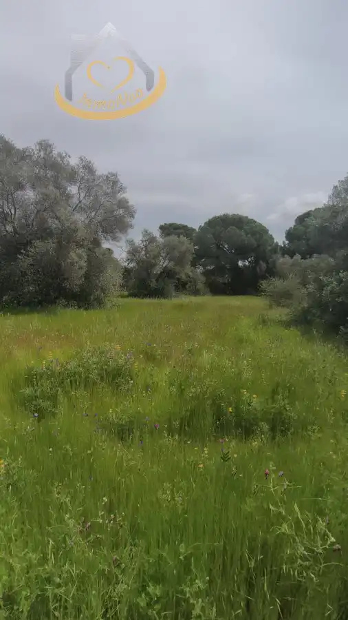 Terreni e lotti in vendita a Villablanca, imagen 3