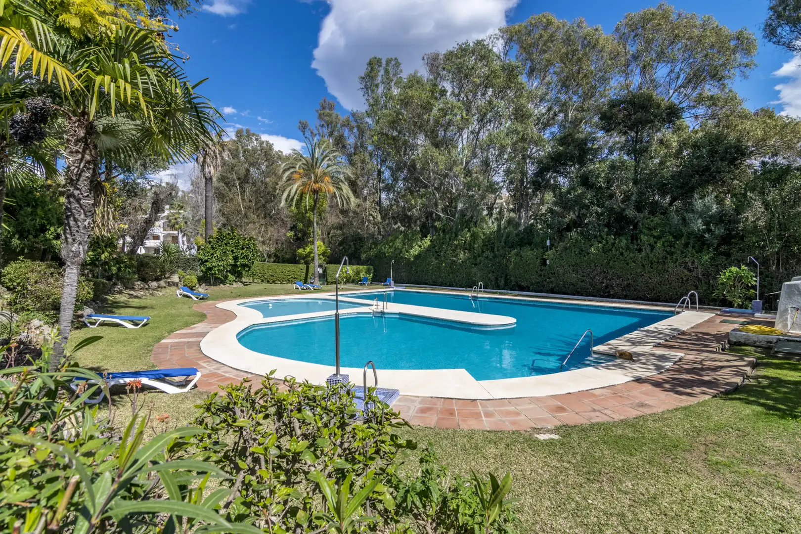 Piscina de Planta baja en venta en Marbella con Aire acondicionado, Terraza y Piscina