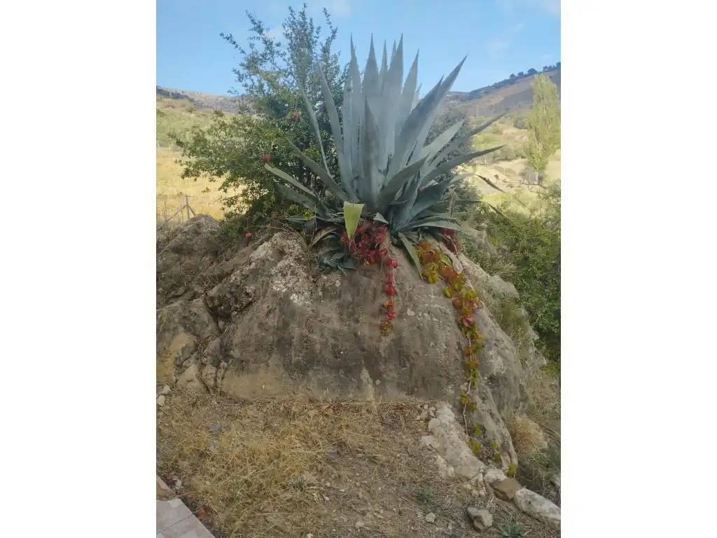 Finca rústica en venta en N/A, Alcaucín