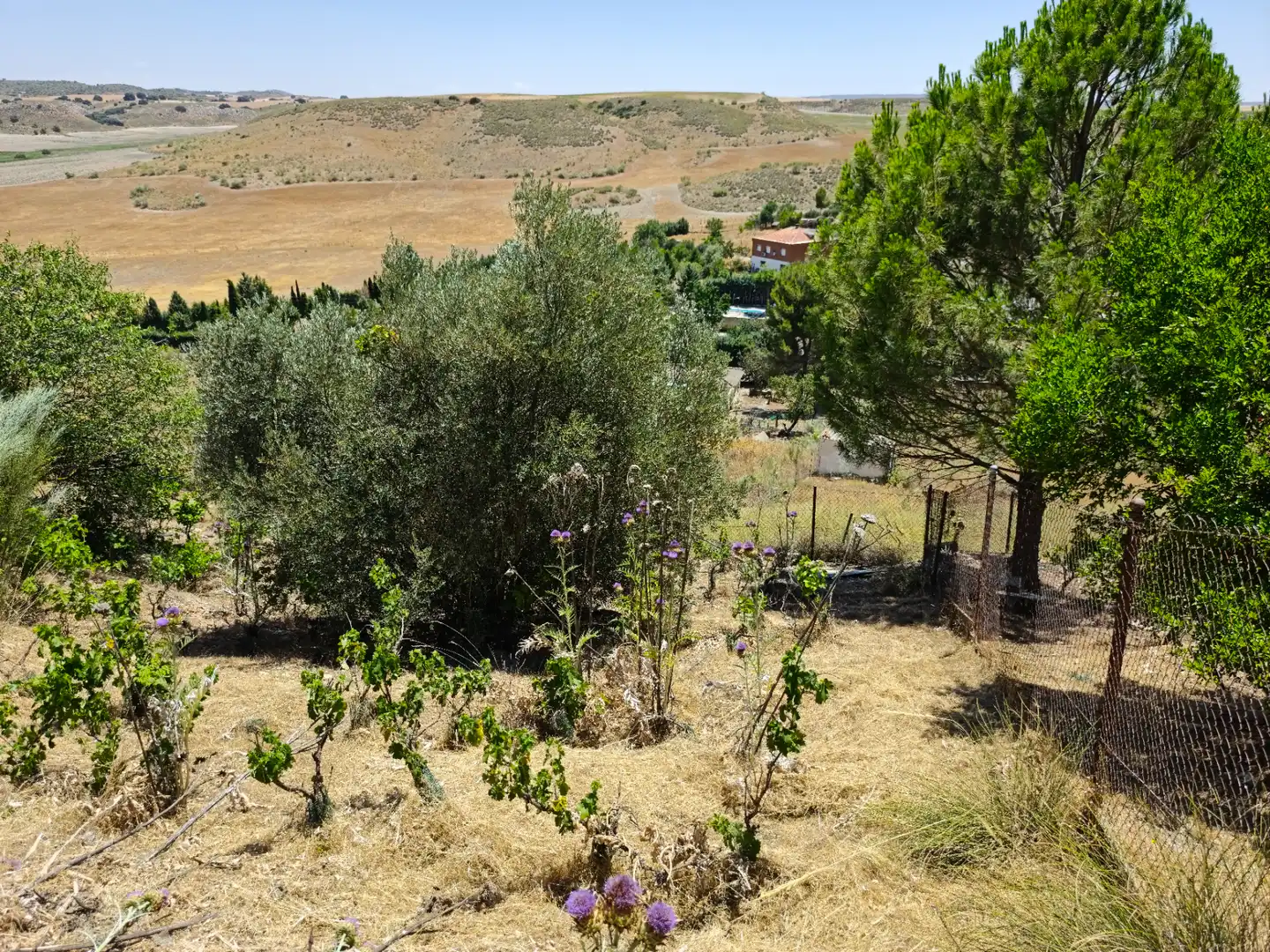 Casa o xalet en venda en Illana amb Jardí privat, Terrassa i Piscina