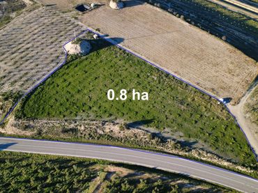 Terreno rústico en venta en Les Borges Blanques