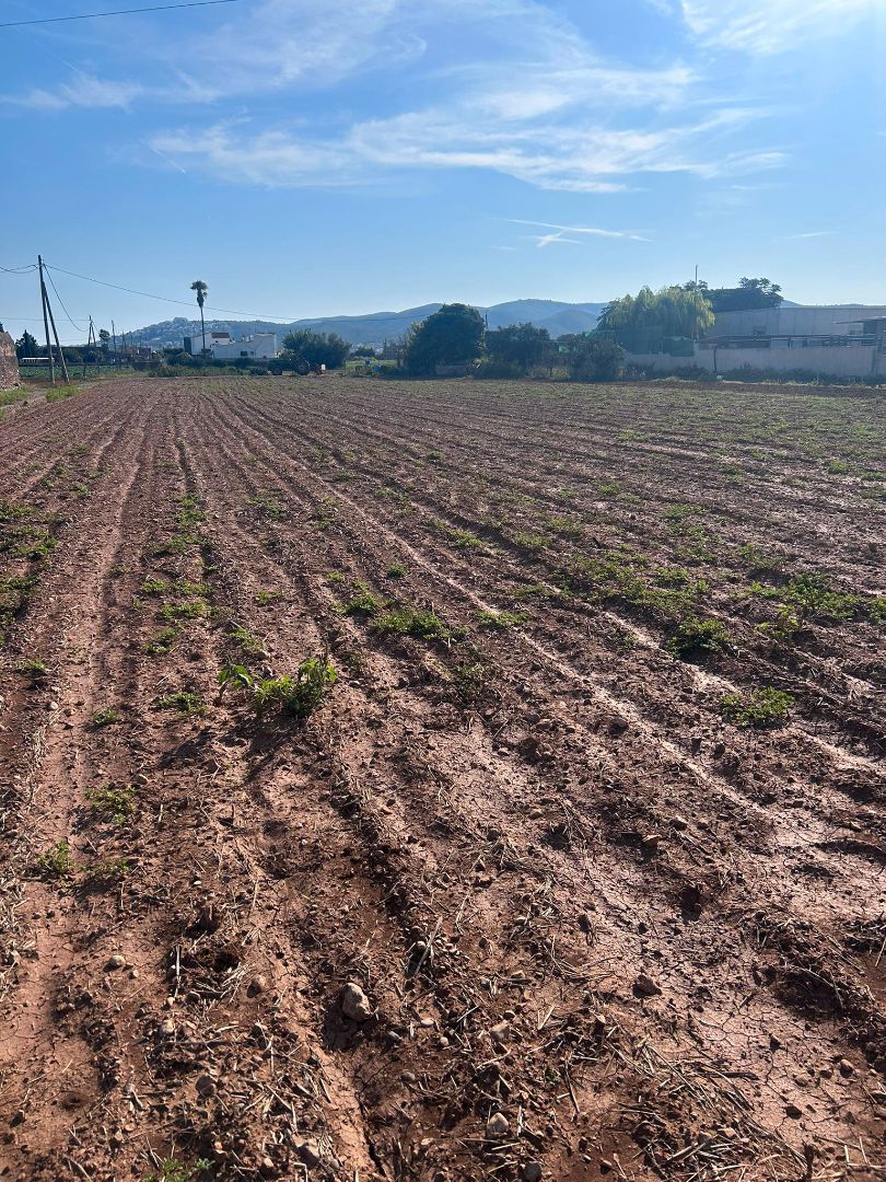Land for sale in Peñíscola / Peníscola