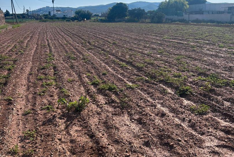 Photo 1 of Land for sale in La Volta, Castellón