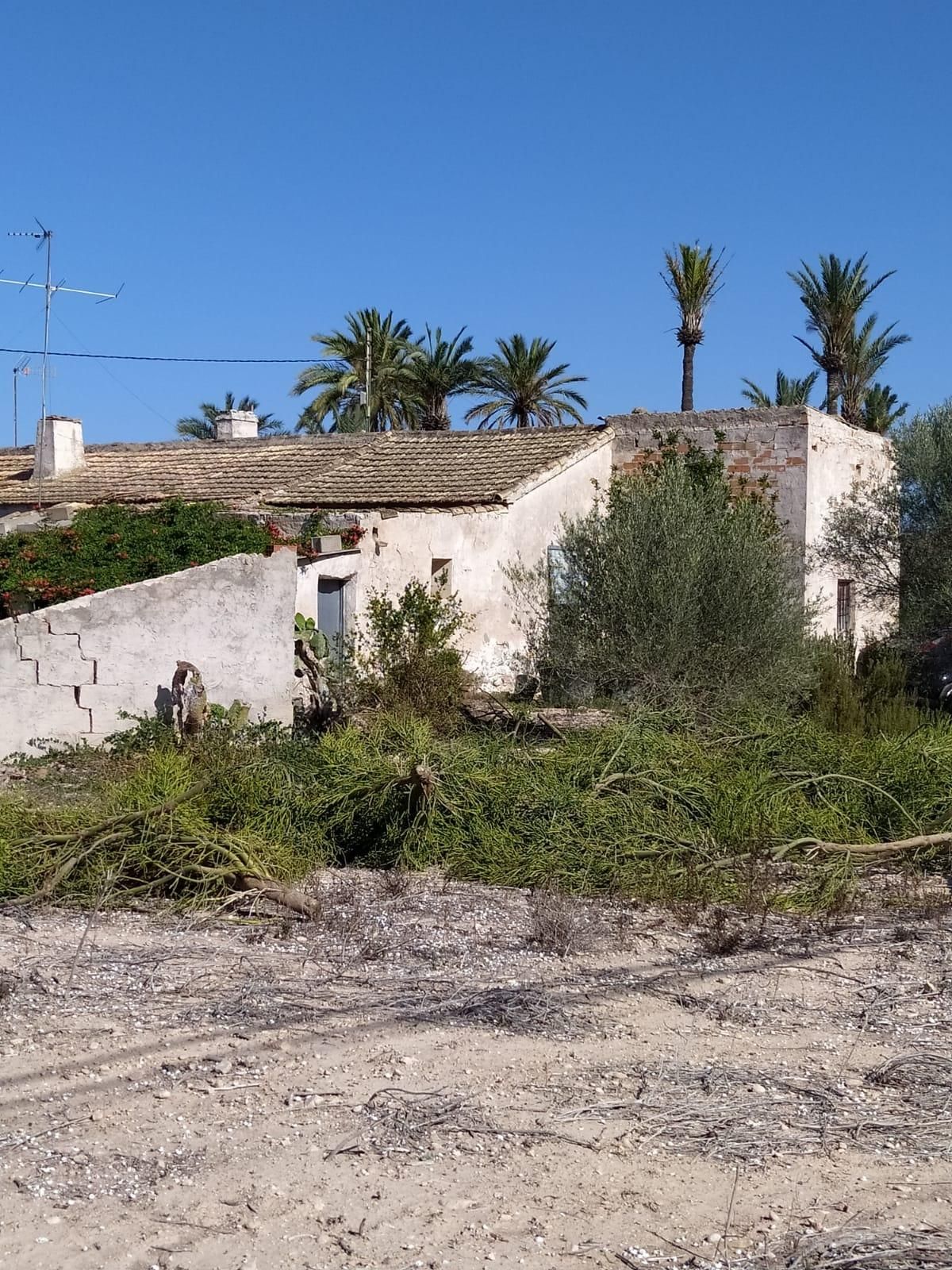 Exterior view of Residential for sale in Elche / Elx