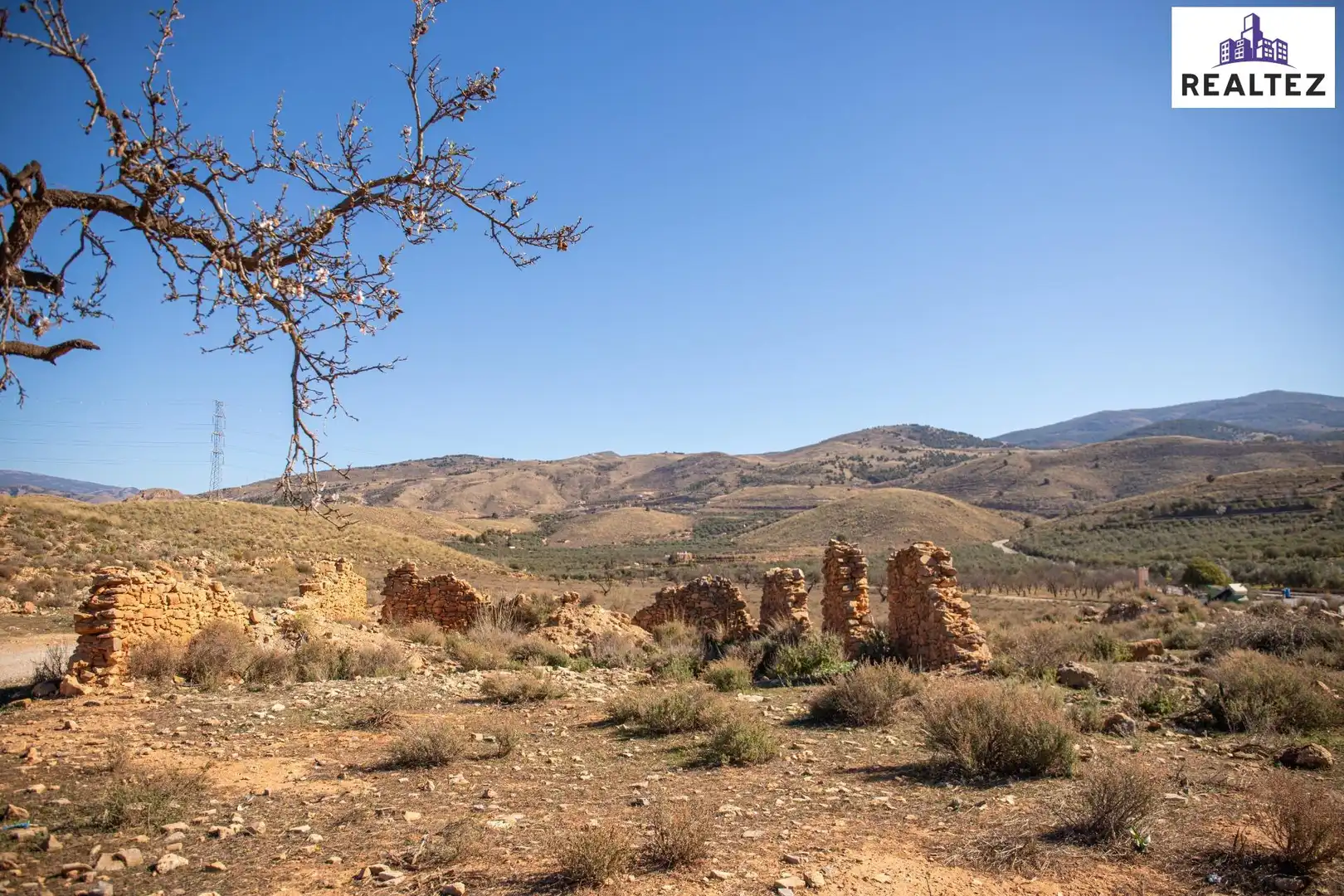 Terrain rustique à vendre à Alcolea, imagen 6