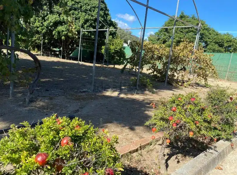 Finca rústica en venta en Torreguadiaro - San Diego