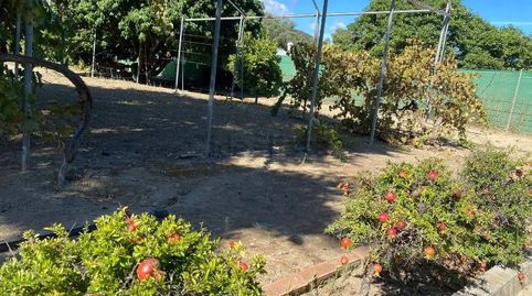 Foto 5 de Finca rústica en venda a Torreguadiaro - San Diego, Sotogrande