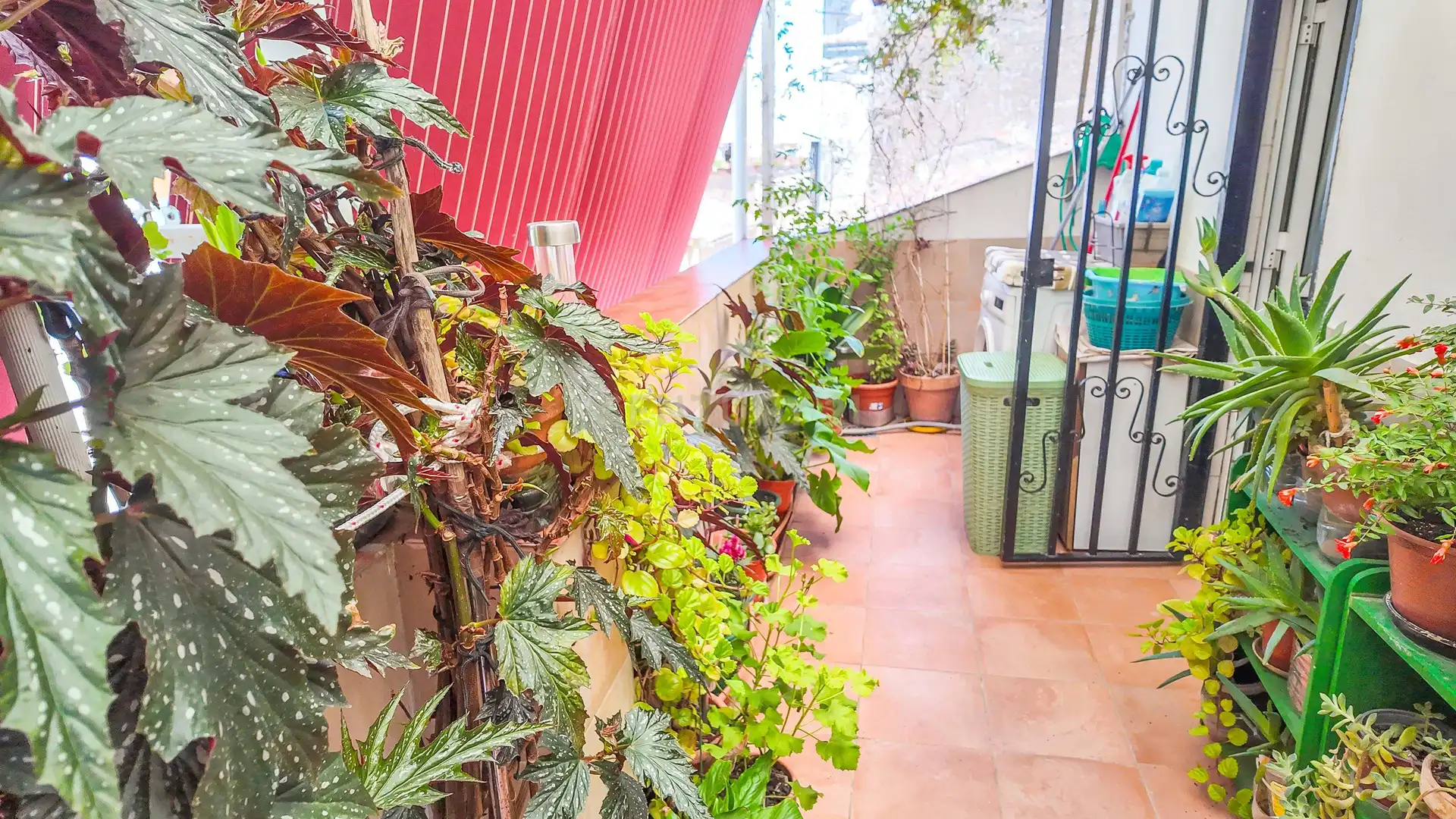 Balcony of Houses for sale in Cáceres  with Balcony