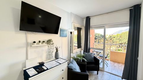 Foto 2 de Estudio de alquiler en Avenida Gamonal, Parque de la Paloma, Benalmádena