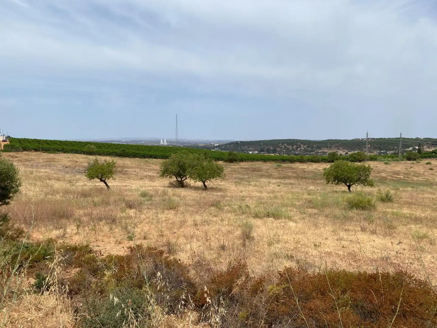 Terreni e lotti in vendita a Vía POLIGONO 15, PARCELA 83, VALDECERRO, imagen 3