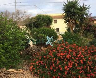 Garden of House or chalet for sale in Fuente Álamo de Murcia  with Air Conditioner, Terrace and Swimming Pool