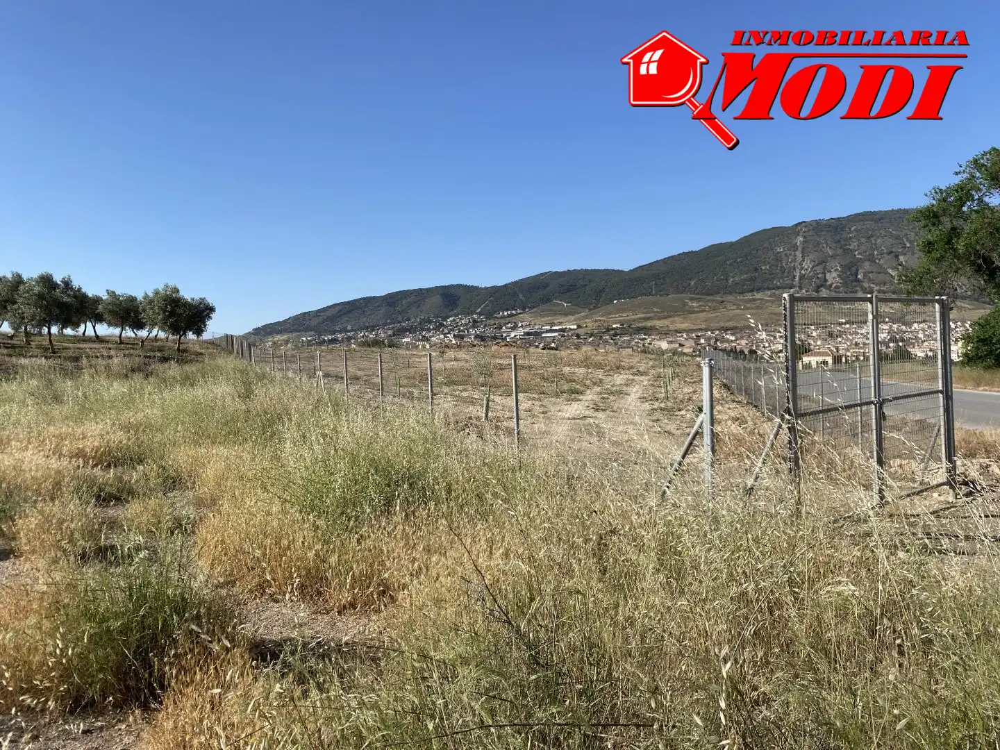 Terreni e lotti in vendita a Padul, imagen 6
