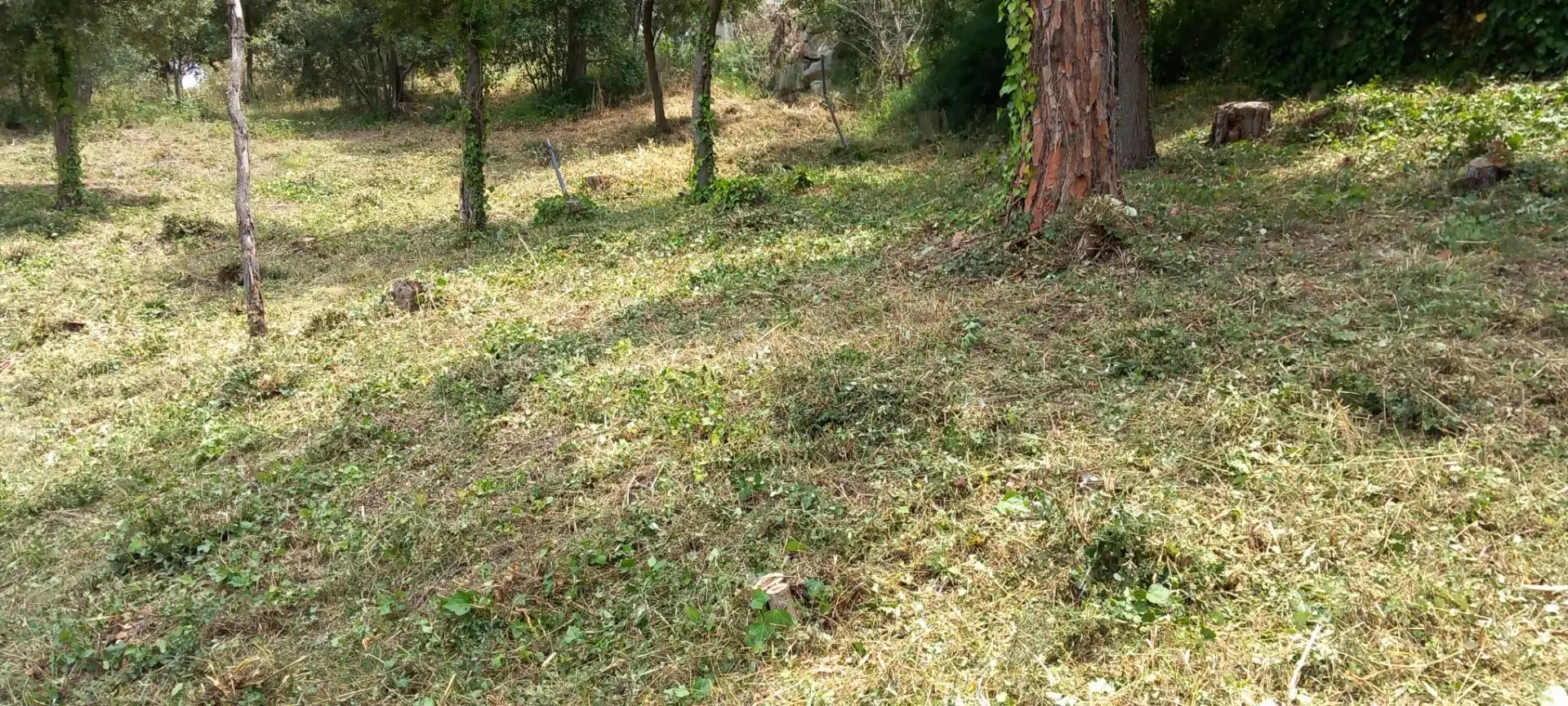 Terreni e lotti in vendita a Santa Maria de Palautordera, imagen 7
