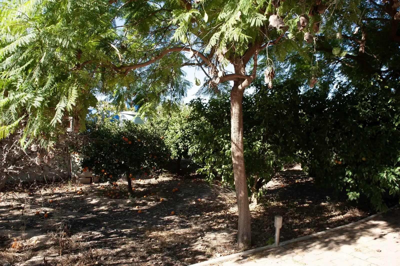 Villa con giardino in vendita a Calle Montalbán, imagen 26