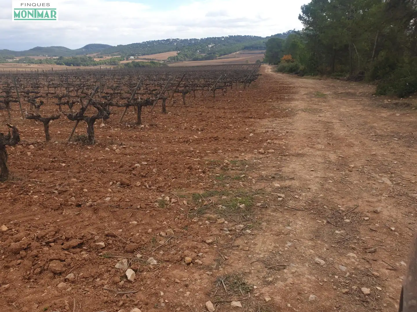 Finca rústica en venda en Vilafranca del Penedès