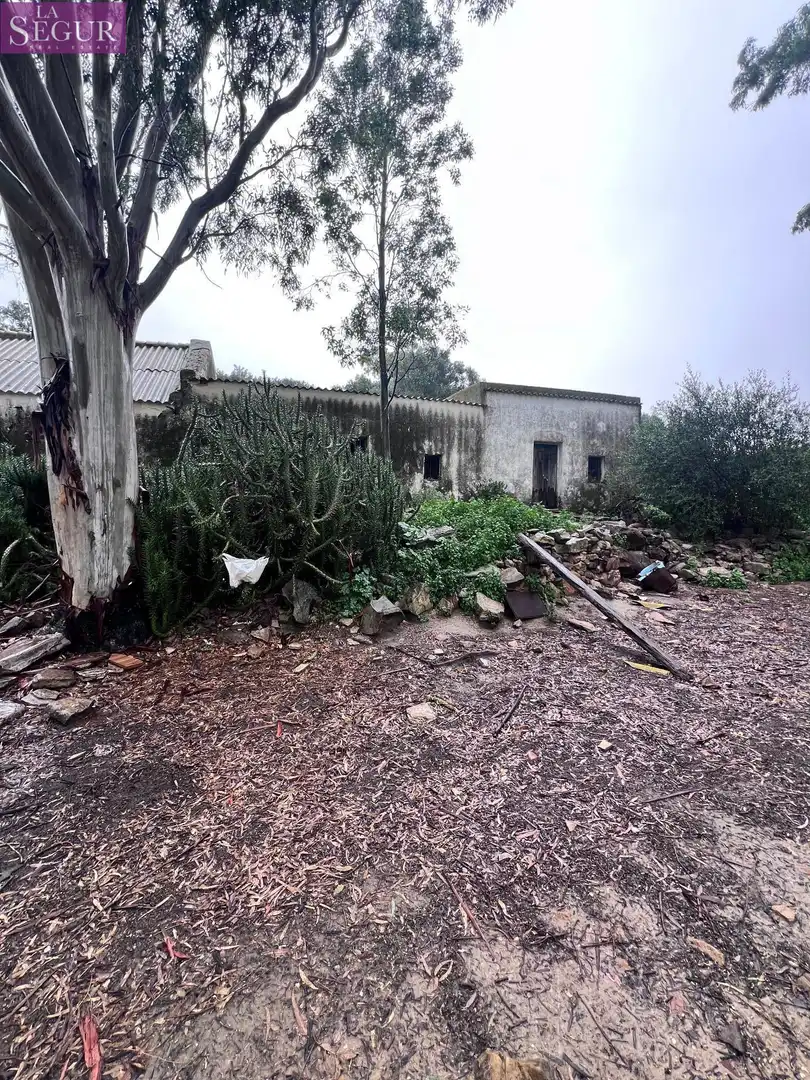 Finca rústica en venda en Vejer de la Frontera amb Jardí privat