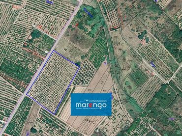 Terreno rustico in vendita a Avenida Alemania-Italia
