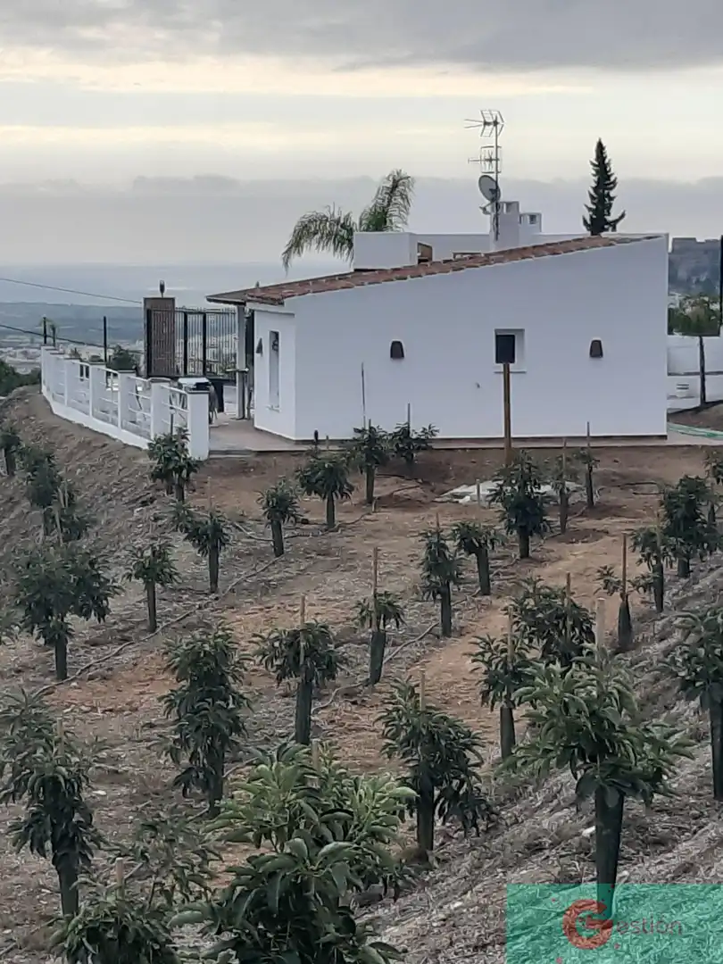 Casa rústica en venda a Centro, imagen 6