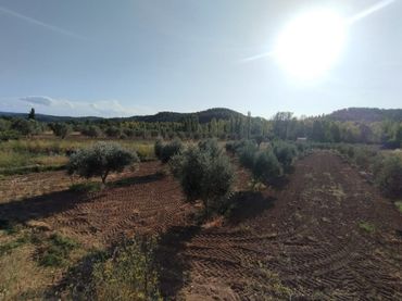 Terreno rustico in vendita a Calle San Roque 17