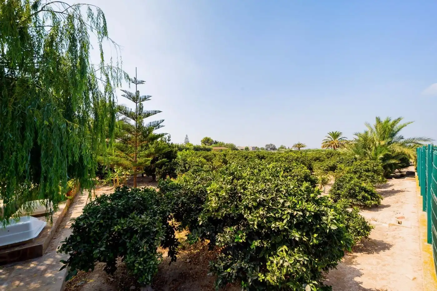 Finca rústica en venta en N/A, -1, Almoradí