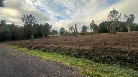 alquilo gran terreno soleado, immagine 3