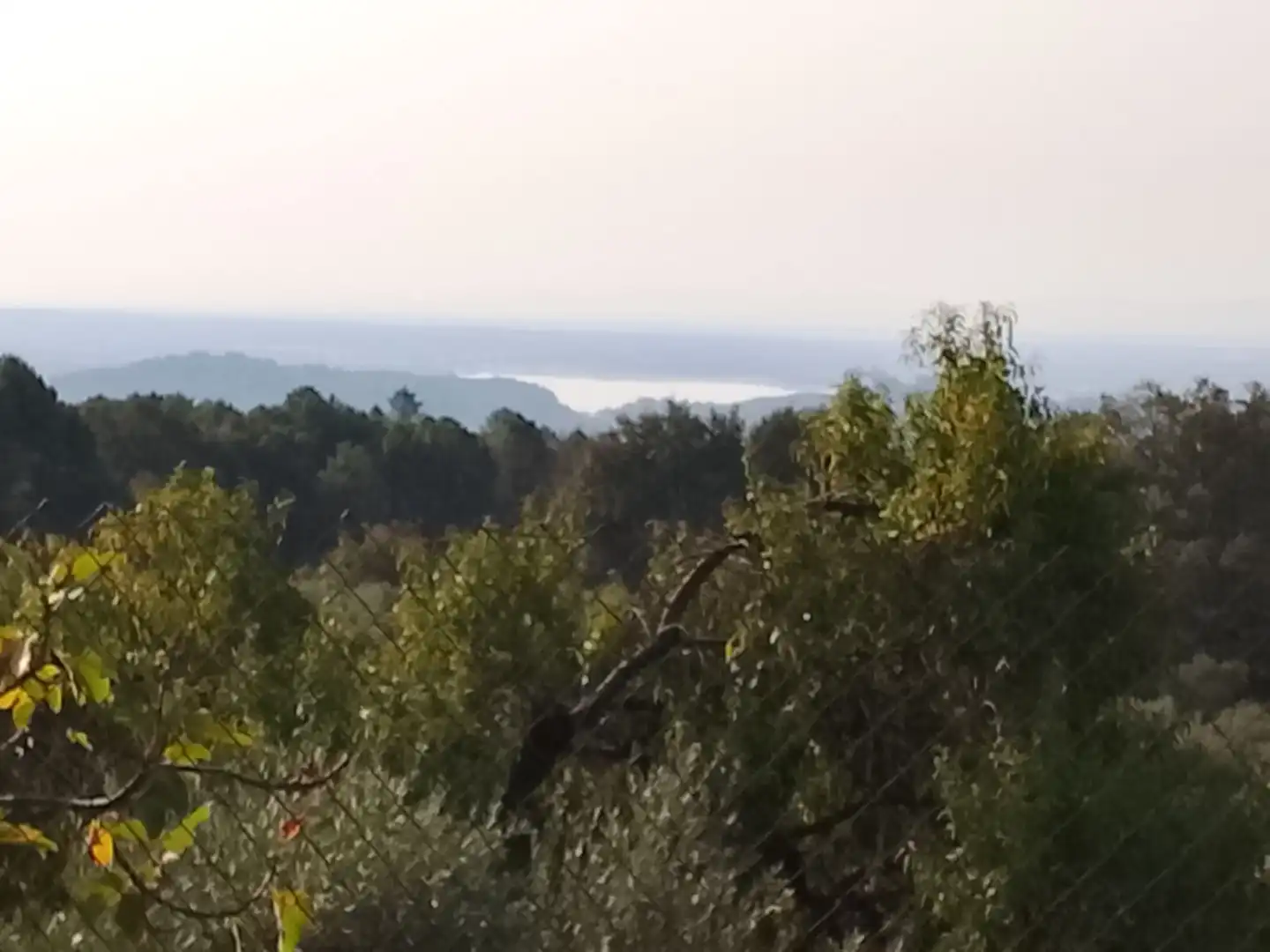 Terreny en venda en Madrigal de la Vera