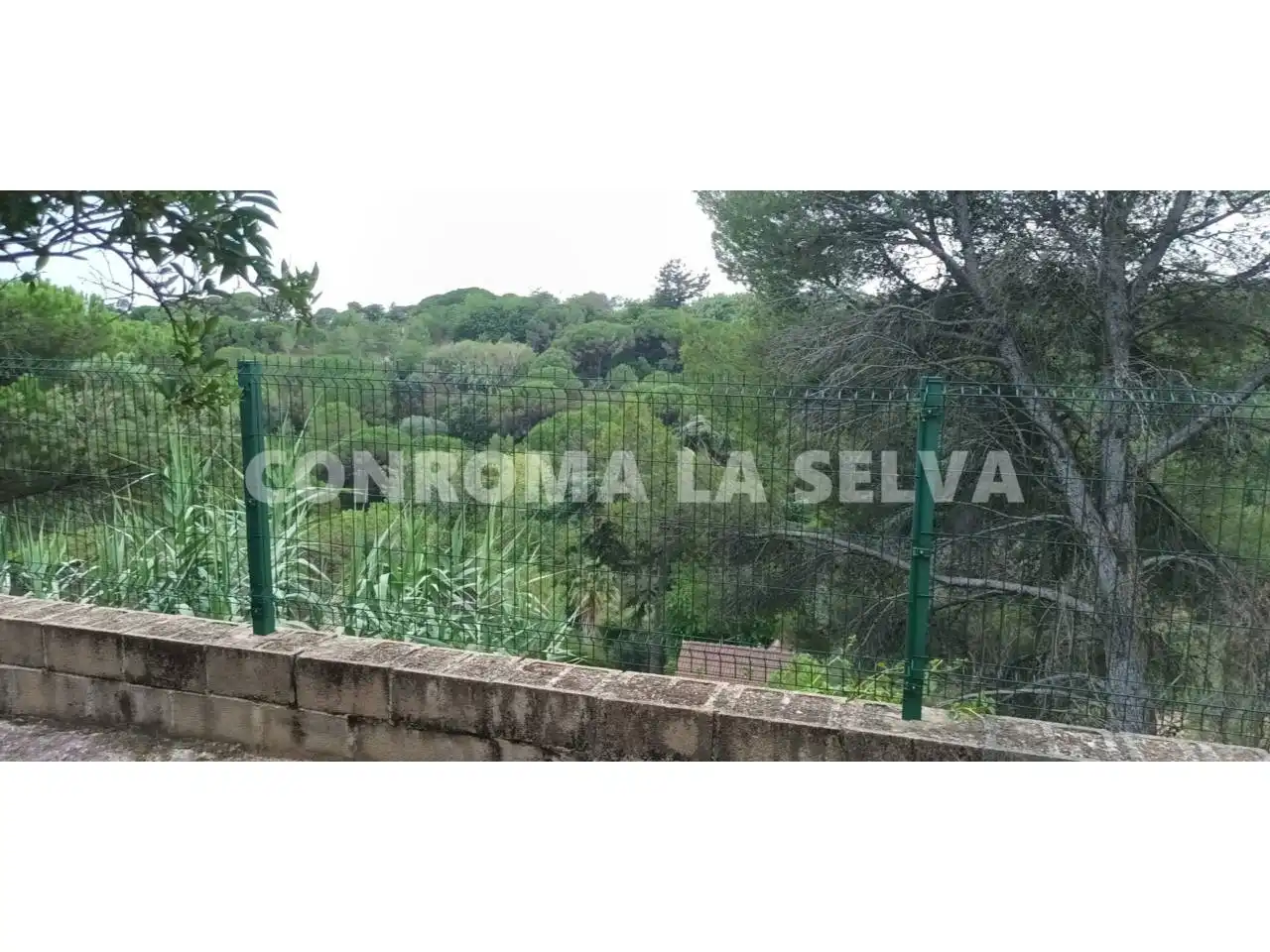 Wohnbaugrundstück zum Verkauf in Lloret Verd - Els Pinars, imagen 2