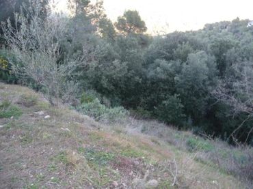 Terreno rustico in vendita a Matadepera - Calle Dauradella