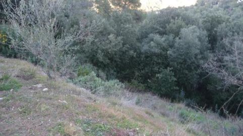 TERRENO EN VENTA Urbanización Pedritxes  Matadepera Bcn