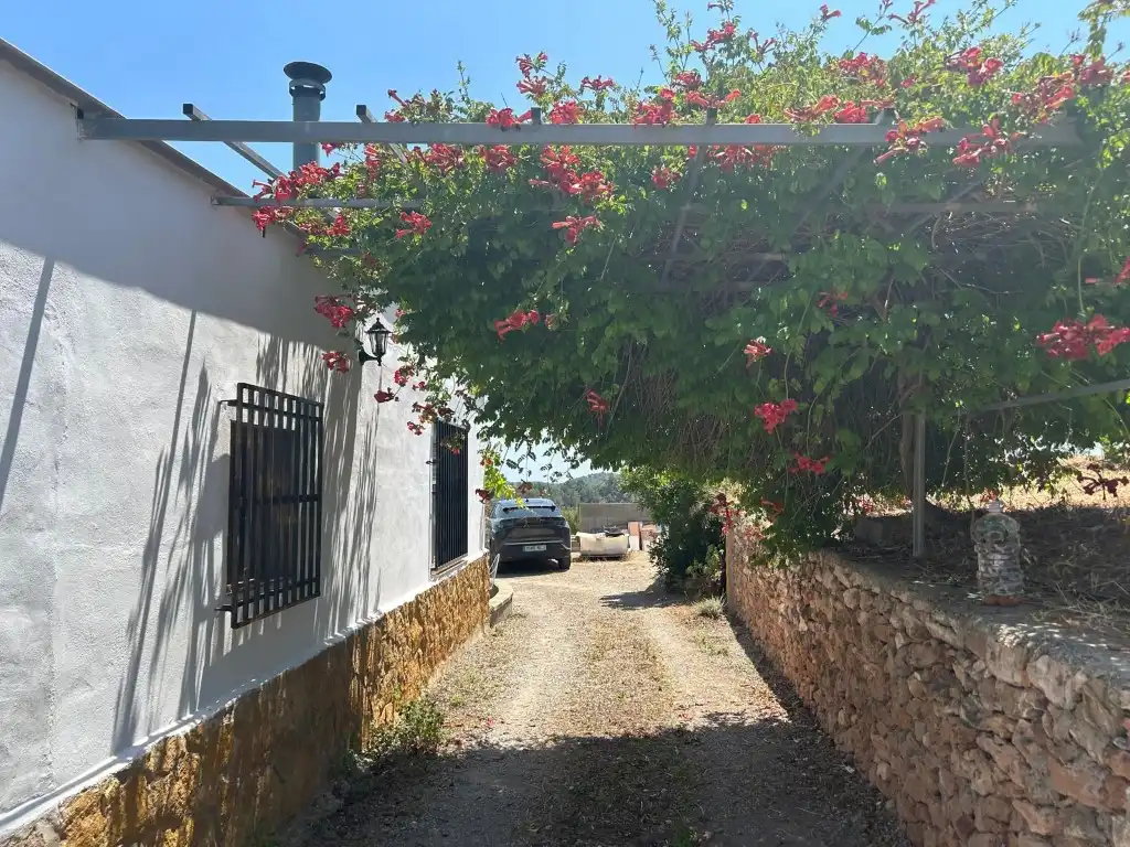 Vista exterior de Finca rústica en venta en Sot de Ferrer