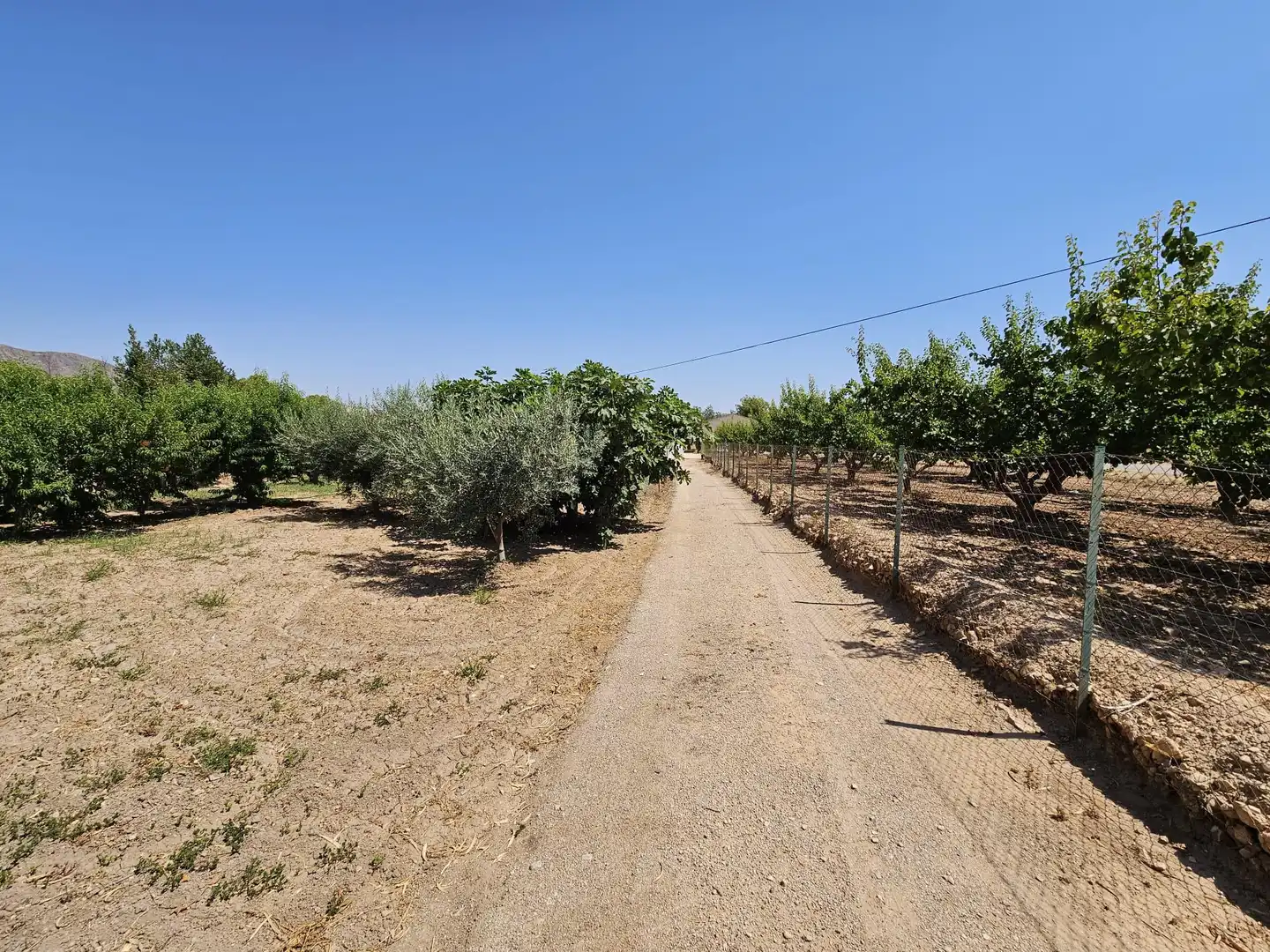 Casa rústica con piscina en venta en Jumilla, imagen 34