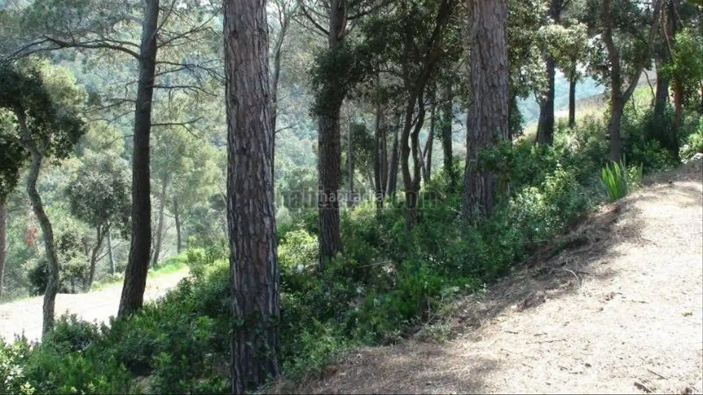 Wohnbaugrundstück zum Verkauf in Carrer de la Pedra 49, imagen 4