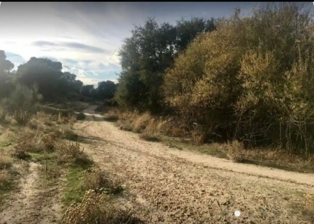 Terreno rustico in vendita a Brunete, imagen 2