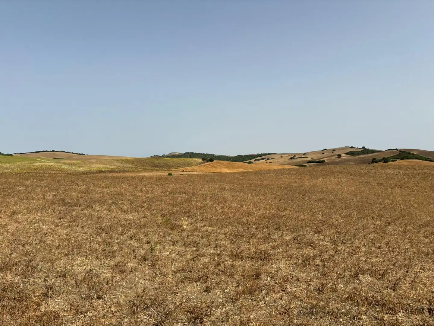 Terreni e lotti in vendita a Lugar el Berrueco, imagen 14
