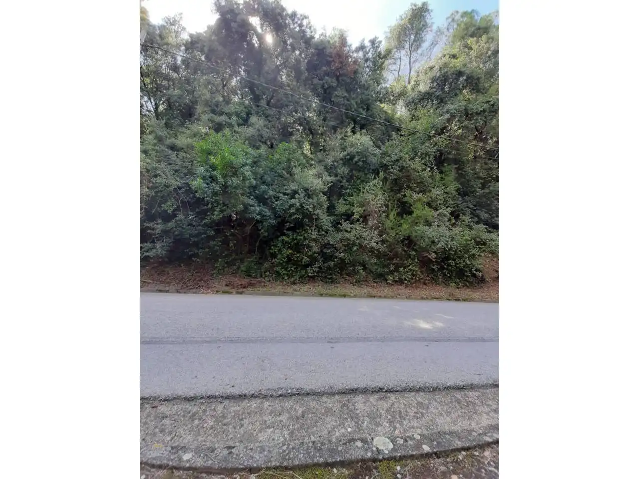 Terreny rústic en venda a Calle Cova del  Drac, imagen 4