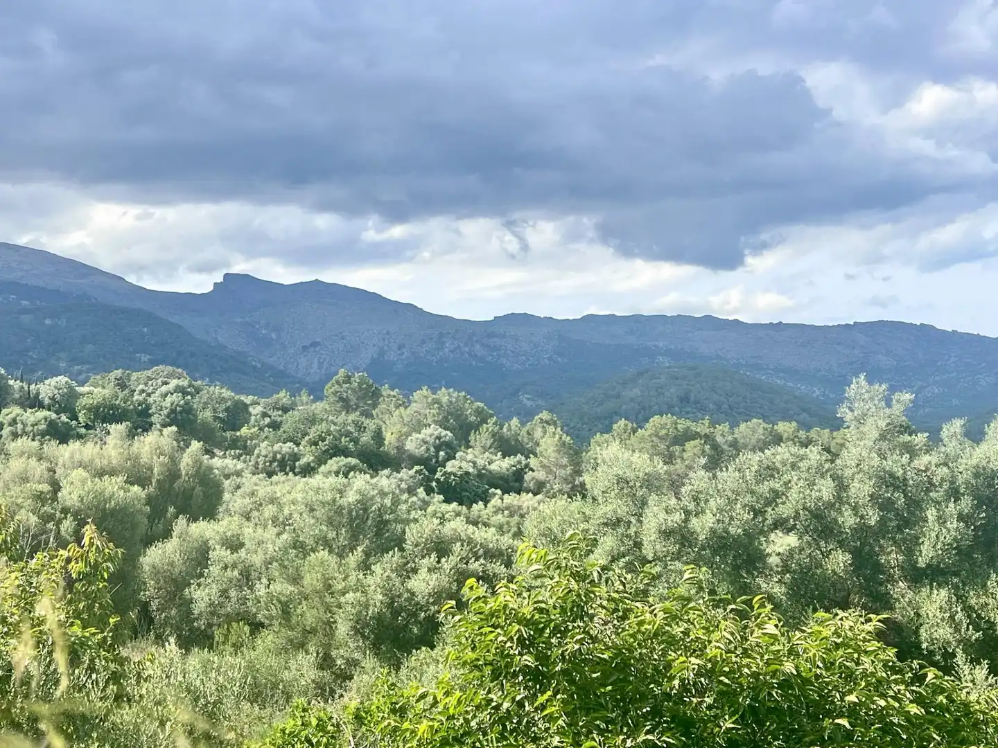 Terrenys i solars en venda a Campanet