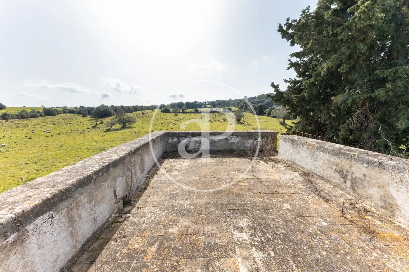 Finca rústica en venta en Archena con Calefacción, Jardín privado y Terraza