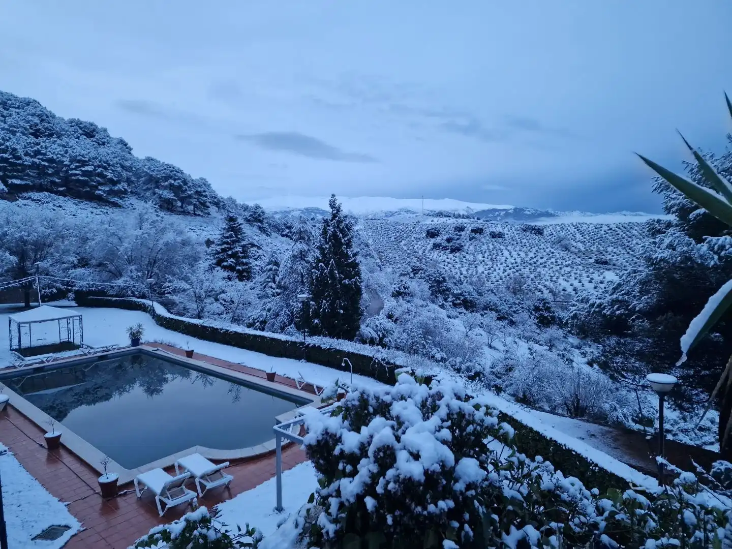 Piscina de Casa o chalet en venta en Víznar, Granada