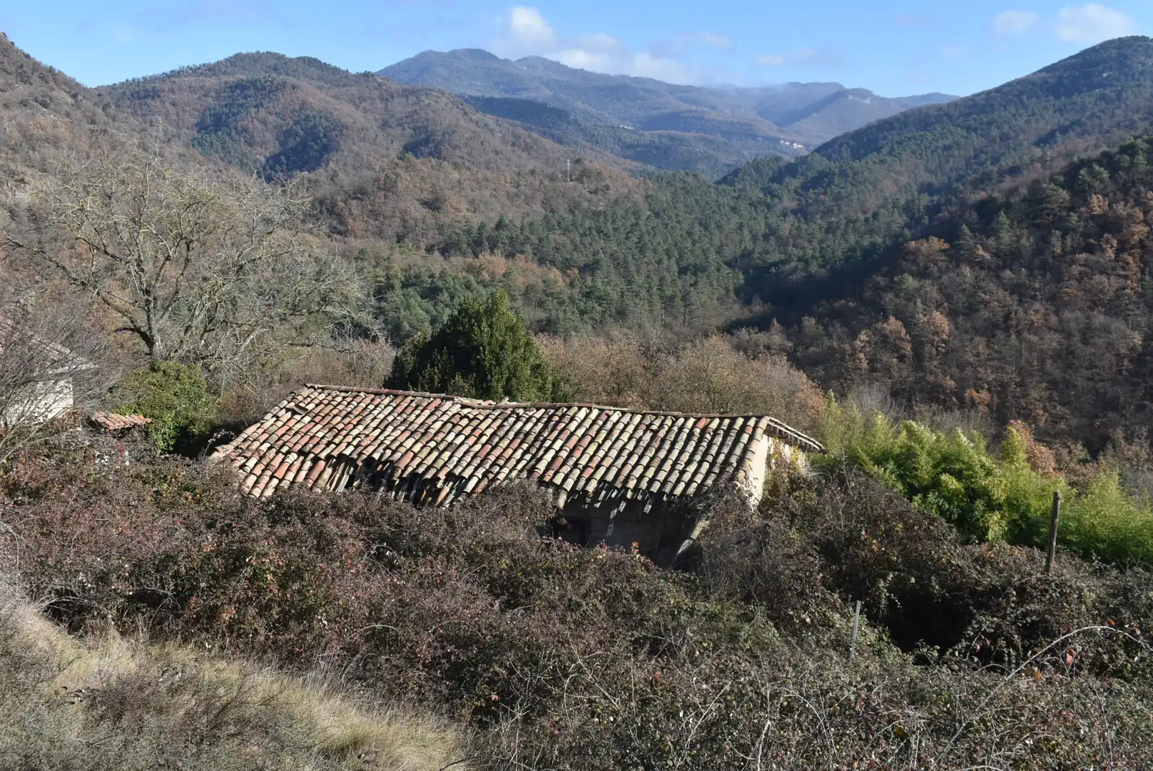 Vista exterior de Finca rústica en venta en Les Llosses