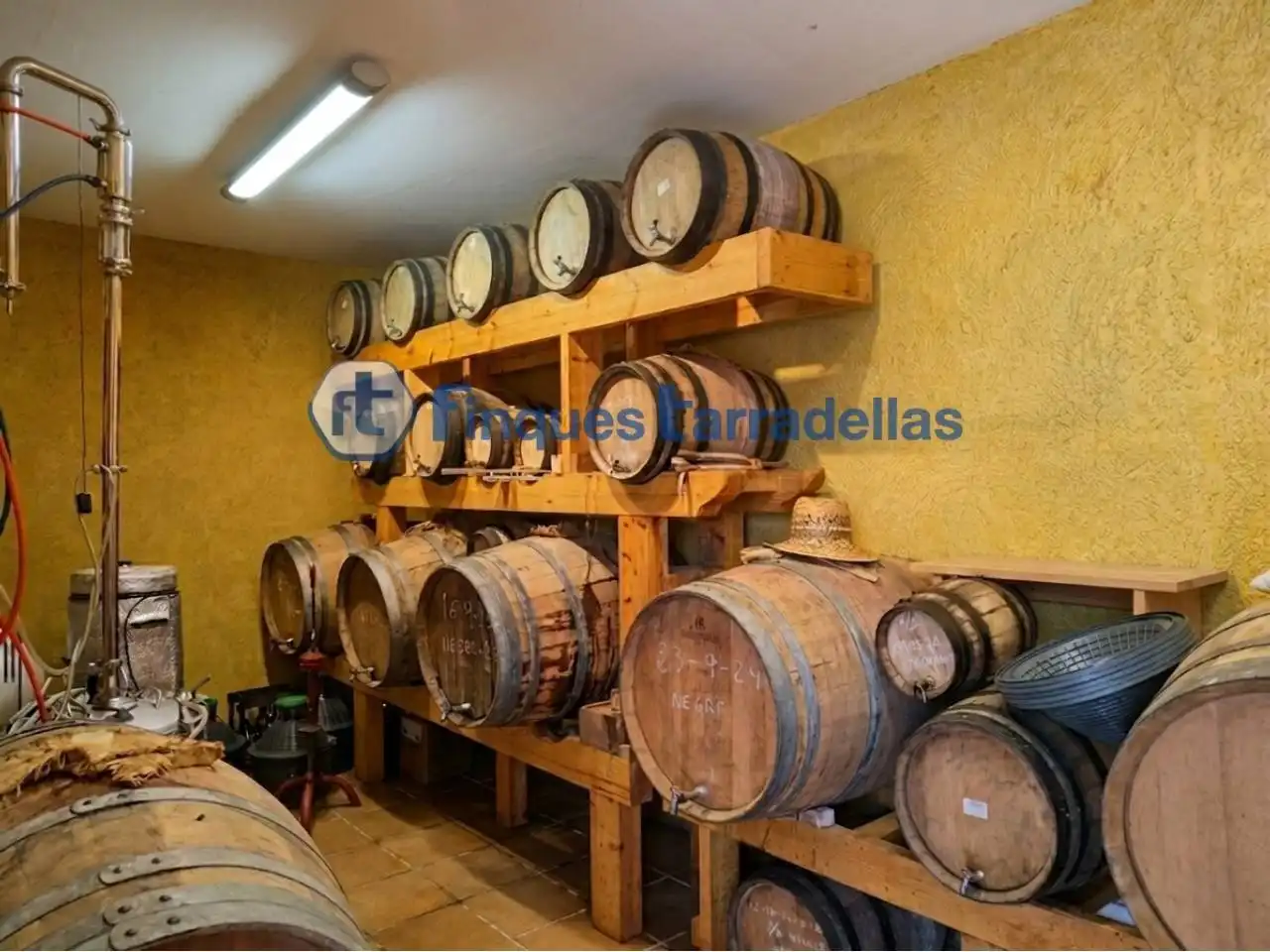 Rural land for sale in Mas Mora - Sant Daniel, imagen 44