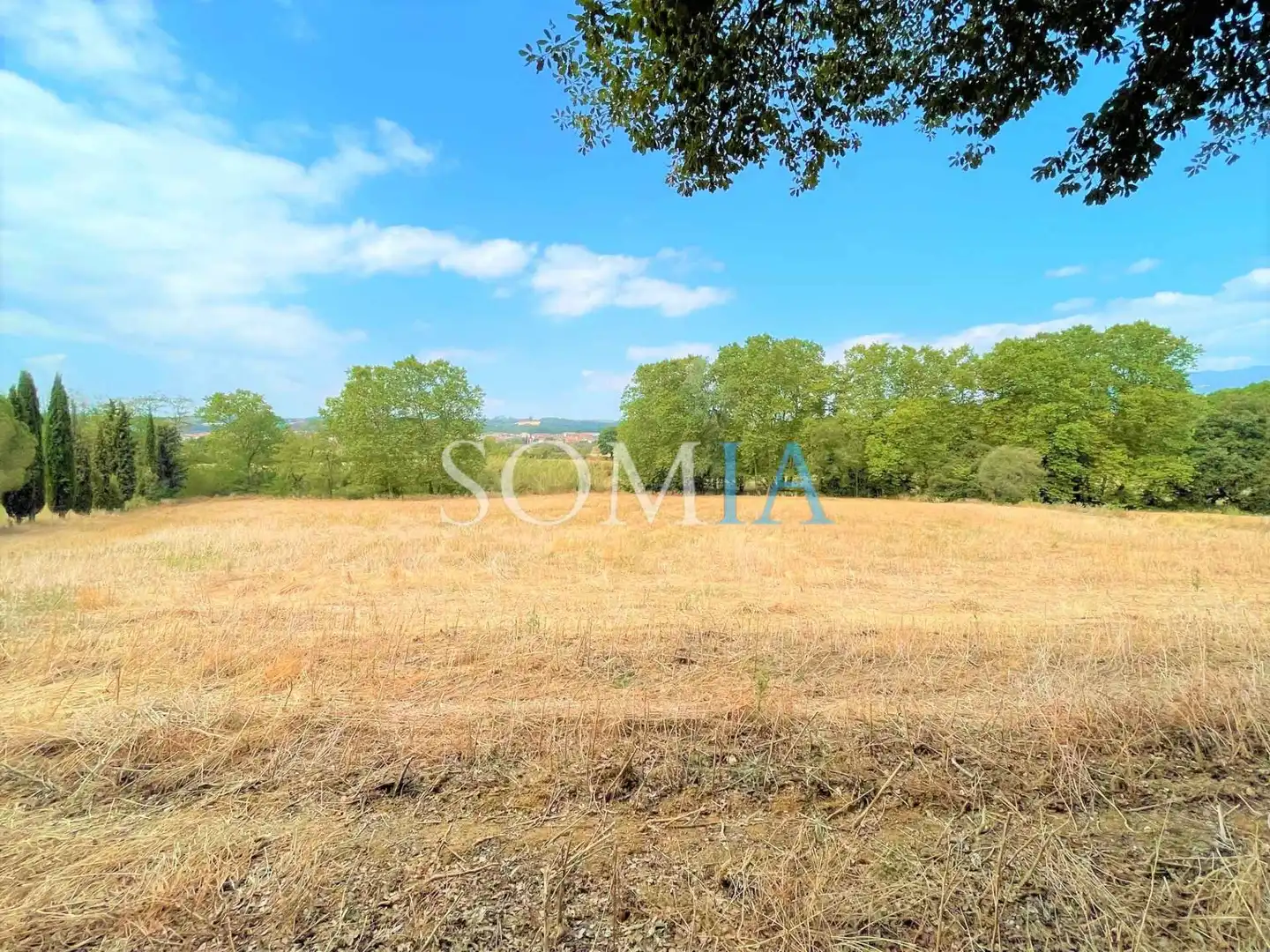 Rural land for sale in Santa Maria de Palautordera