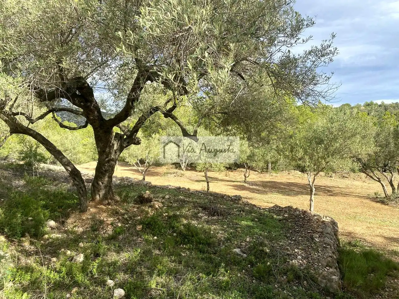 Terreny rústic en venda a Lo Coll d'en Carbo, imagen 16